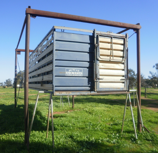 STOCK CRATE (DUNCAN) Livestock Equipment Livestock Handling